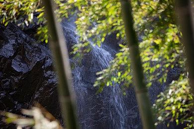 《最后的生还者》重制版过场动画和截图 更加精美了